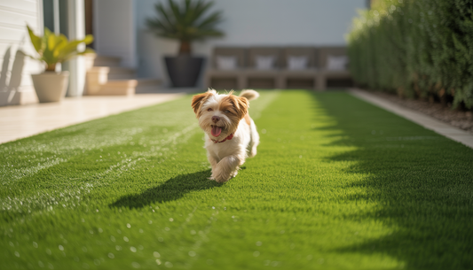 A realistic synthetic lawn with a playful dog under a sunny sky, highlighting the turf's pet-friendly and UV-resistant features.